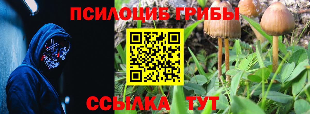 Псилоцибиновые грибы GOLDEN TEACHER  Вход с VPN  Верхний Уфалей  Галлюциногенные грибы Magic Shrooms 