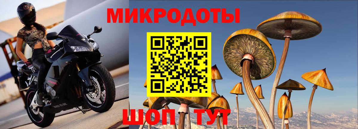 Галлюциногенные грибы Psilocybine cubensis Верхний Уфалей